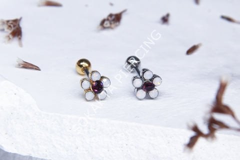 X43 - TRAGUS