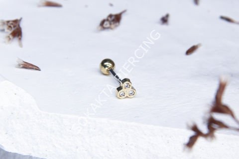 C5  - TRAGUS Silver