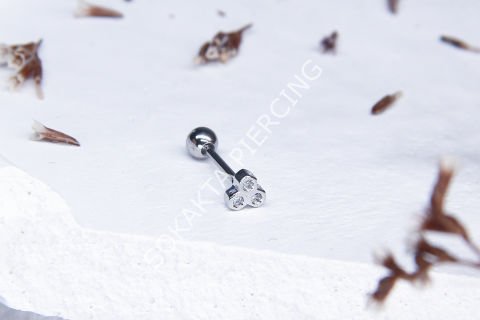 C5  - TRAGUS Silver