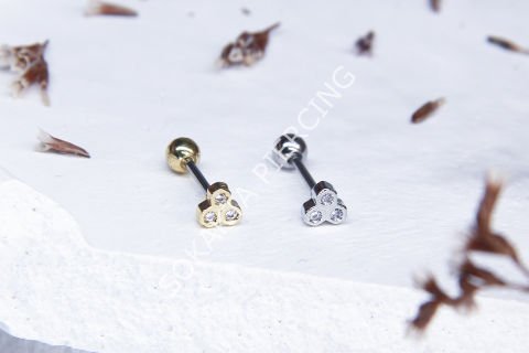 C5  - TRAGUS Silver