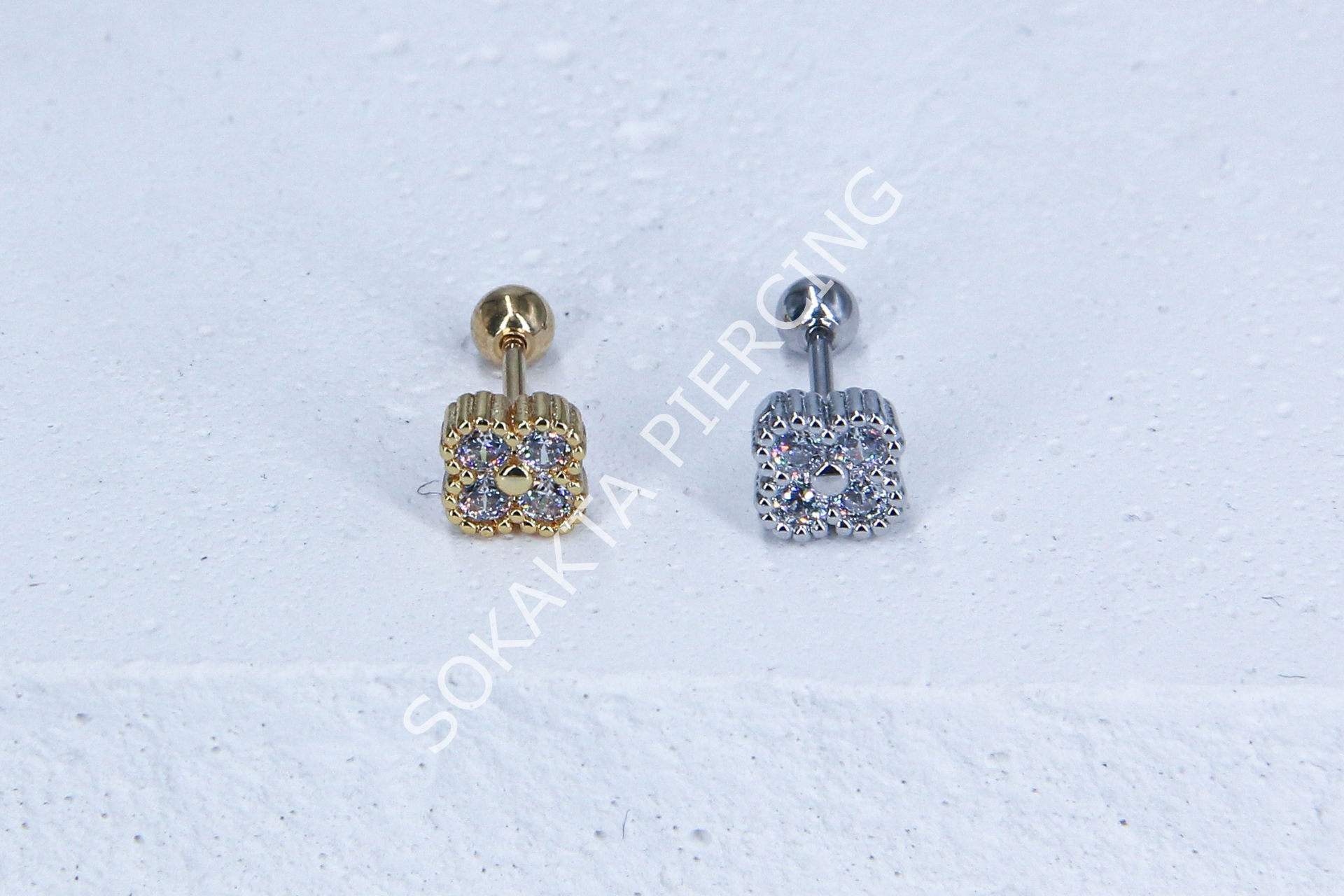 B22 - TRAGUS