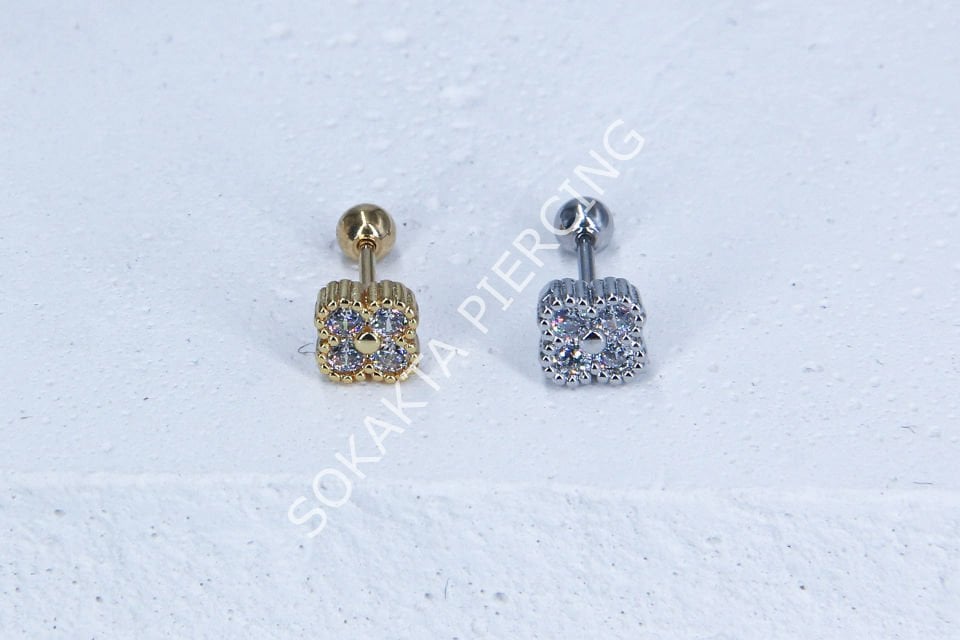 B22 - TRAGUS