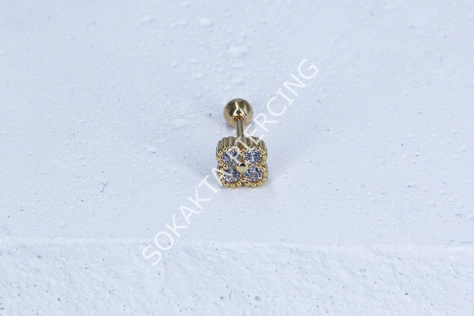 B22 - TRAGUS