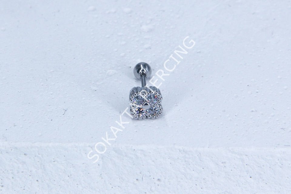 B22 - TRAGUS