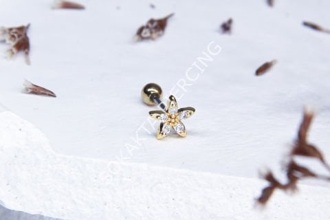 B76 - TRAGUS Silver