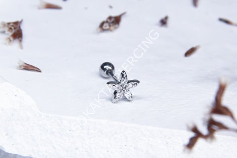 B76 - TRAGUS Silver