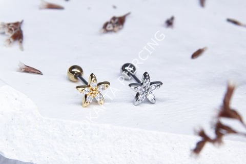 B76 - TRAGUS Silver
