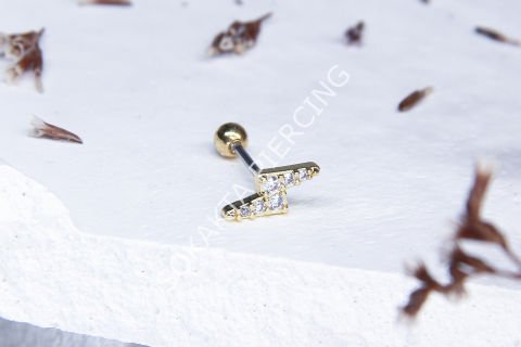 A13 - TRAGUS
