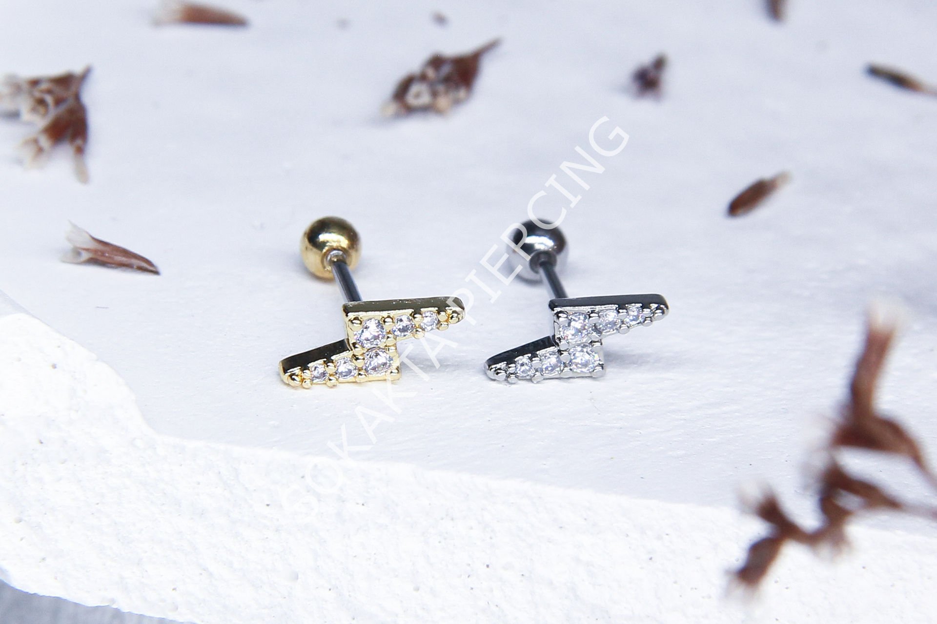 A13 - TRAGUS