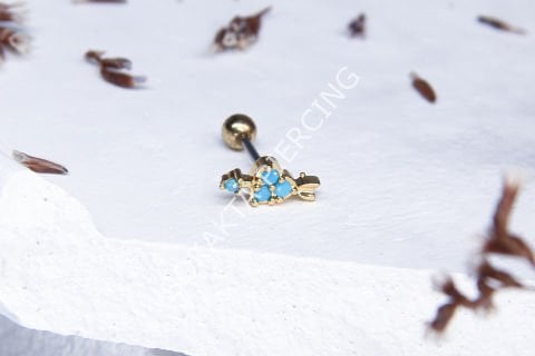 B42 - TRAGUS