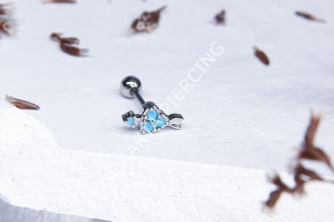 B42 - TRAGUS