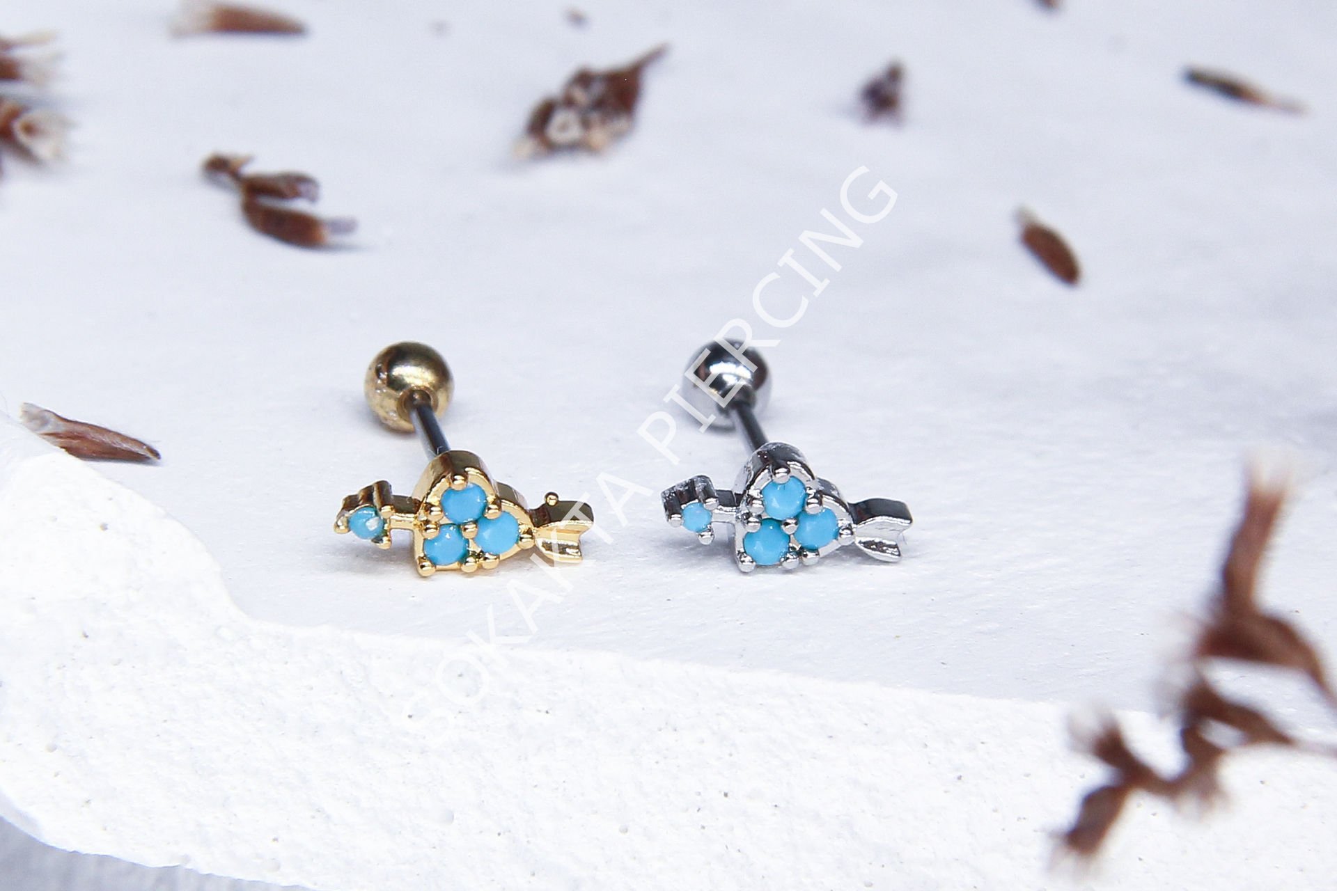 B42 - TRAGUS