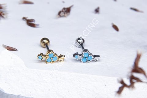 B42 - TRAGUS