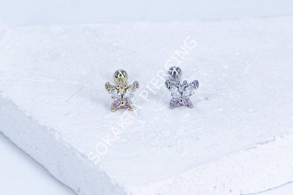 G24 - TRAGUS