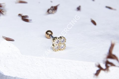 B22 - TRAGUS Silver