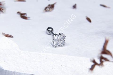 B22 - TRAGUS