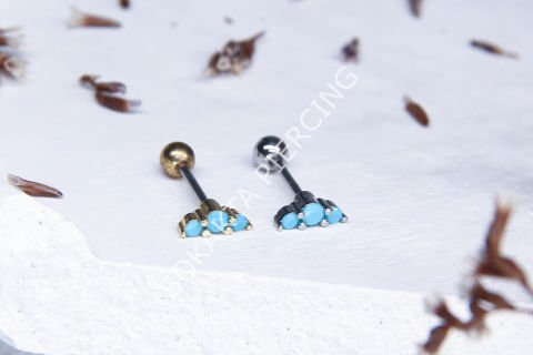 Z38 - TRAGUS