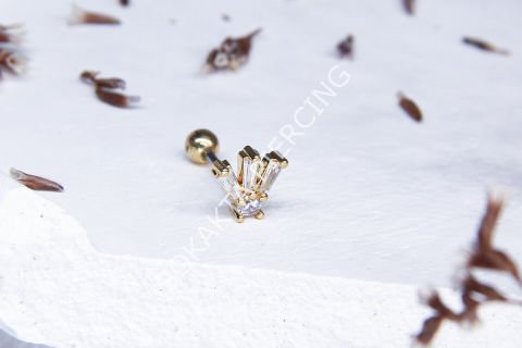 A10 - TRAGUS