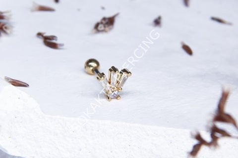 A10 - TRAGUS Silver