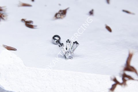 B20 - TRAGUS