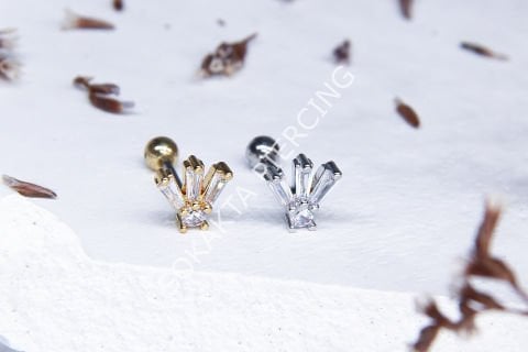 B20 - TRAGUS