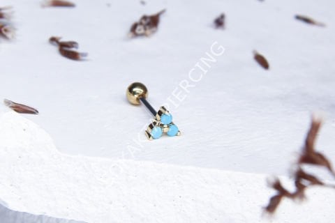 Z41 - TRAGUS