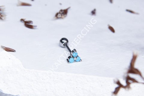 Z41 - TRAGUS