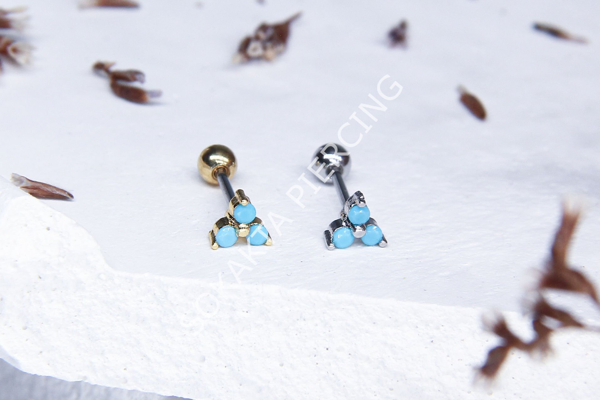 Z41 - TRAGUS