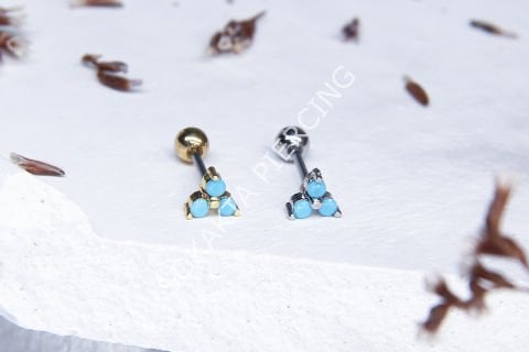 Z41 - TRAGUS