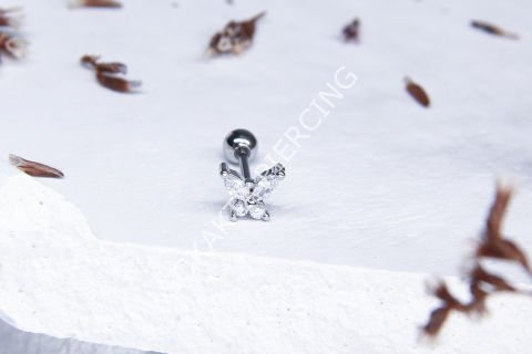 A48 -  TRAGUS