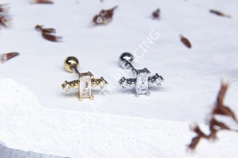 B43 - TRAGUS