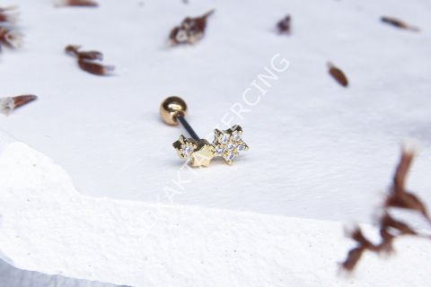 A14 - TRAGUS Silver