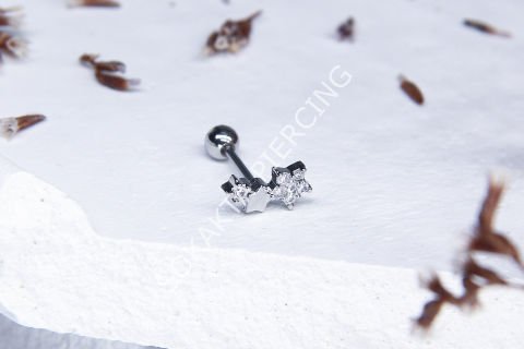 A14 - TRAGUS Silver