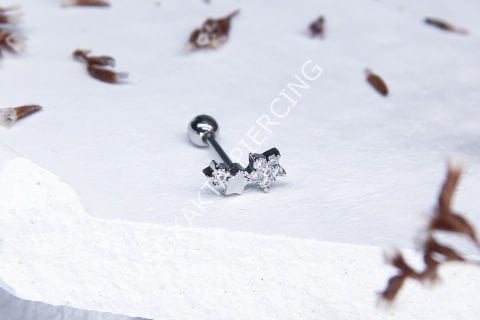 A14 - TRAGUS Silver