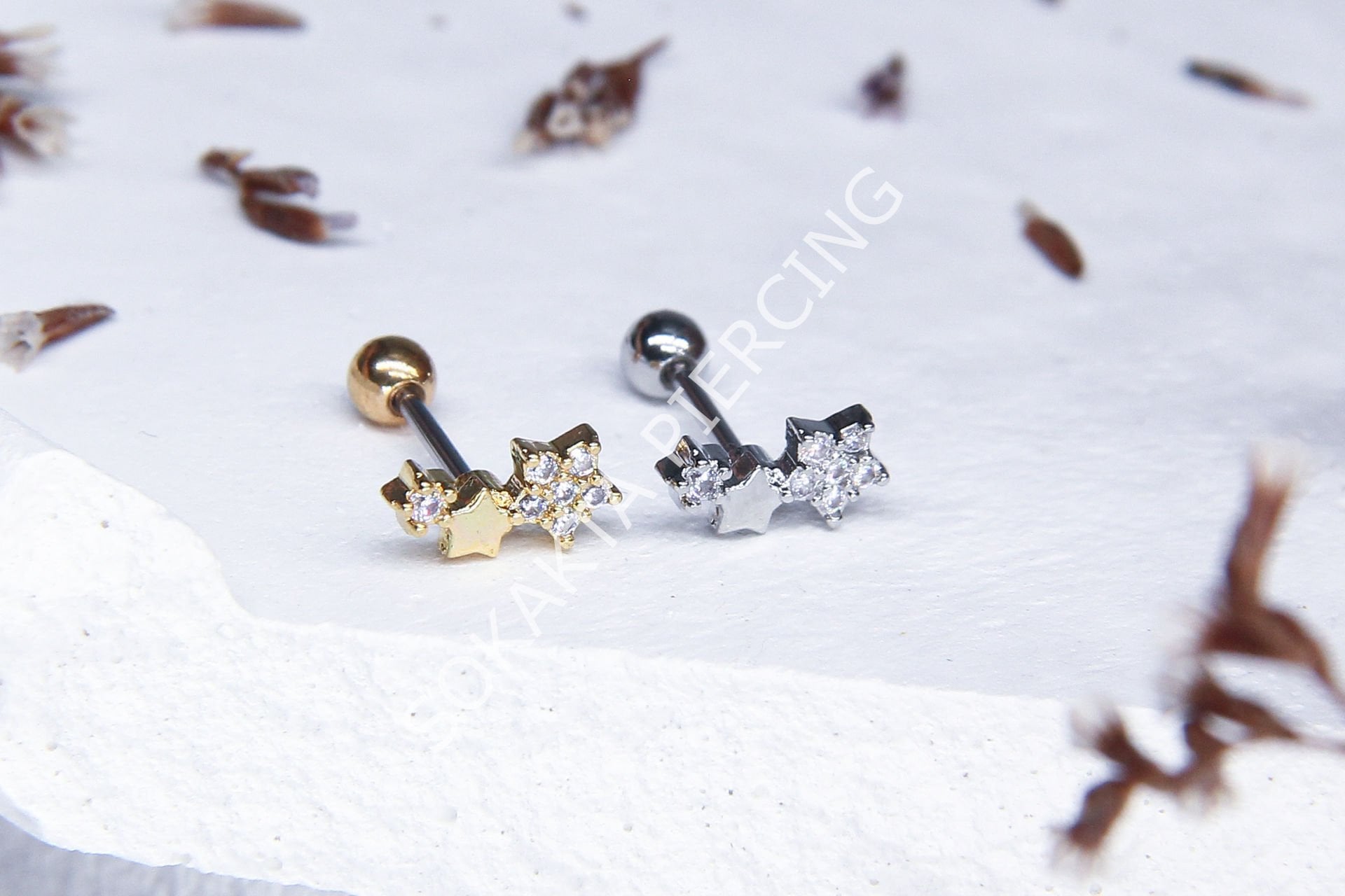 A14 - TRAGUS Silver