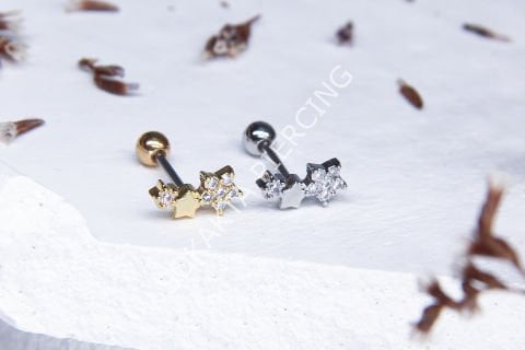 A14 - TRAGUS Silver