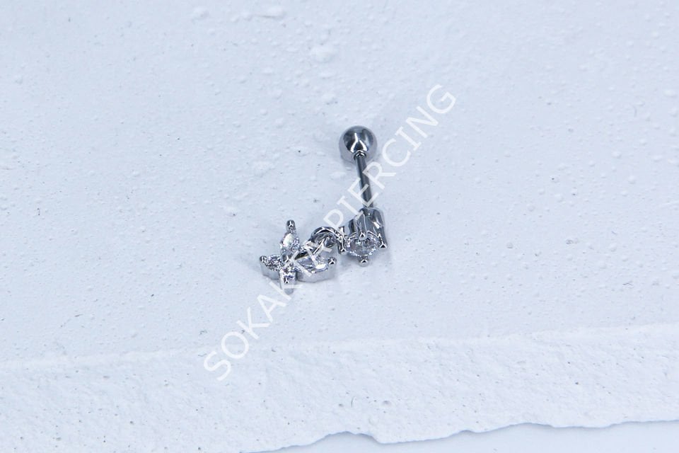 A95- TRAGUS
