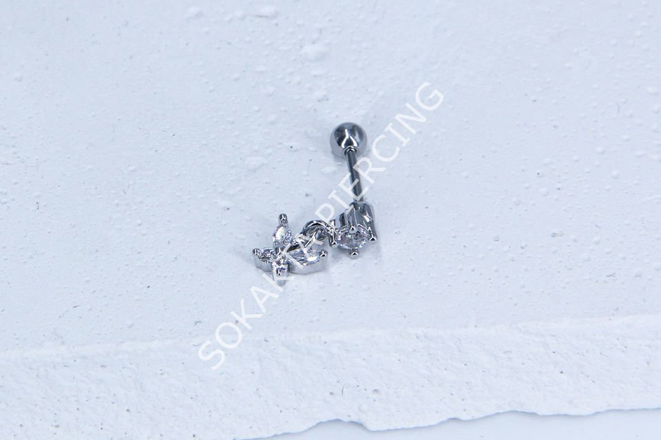Z95- TRAGUS