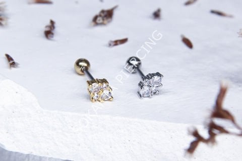 A53 - TRAGUS