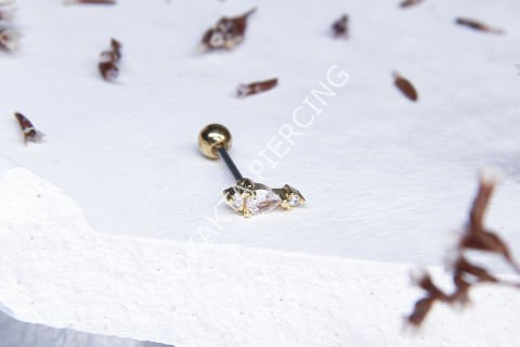 A46 - TRAGUS Silver