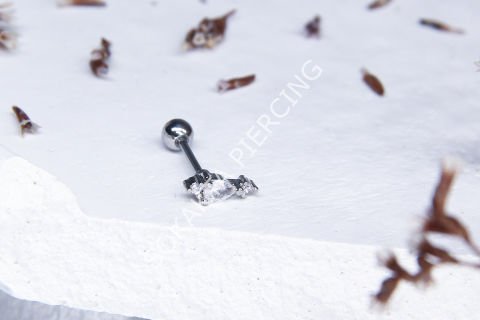 A46 - TRAGUS Silver