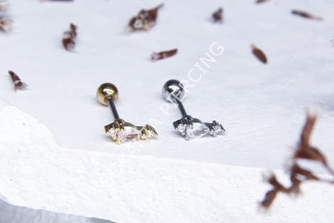 A46 - TRAGUS Silver