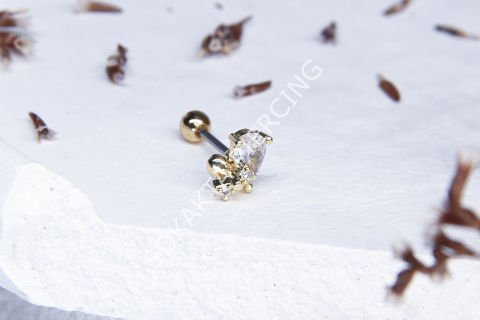 A21 - TRAGUS