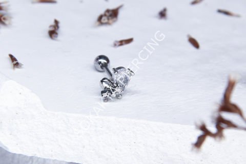 A21 - TRAGUS