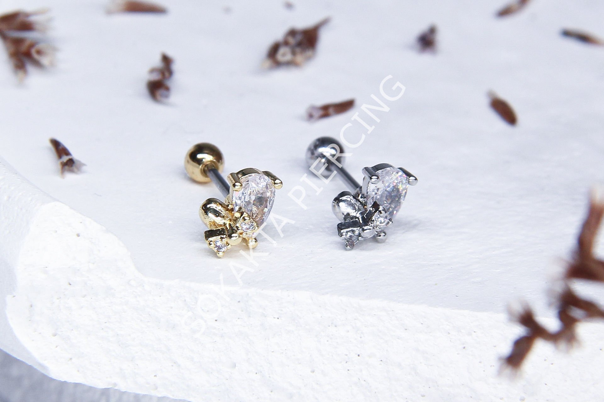 A21 - TRAGUS