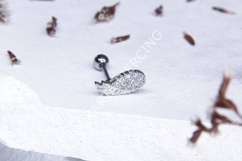 B81 - TRAGUS Silver