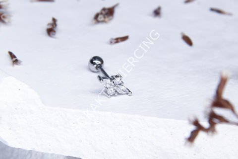 X55 - TRAGUS