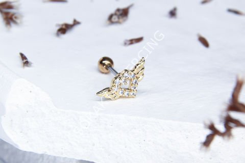 A67 - TRAGUS Silver