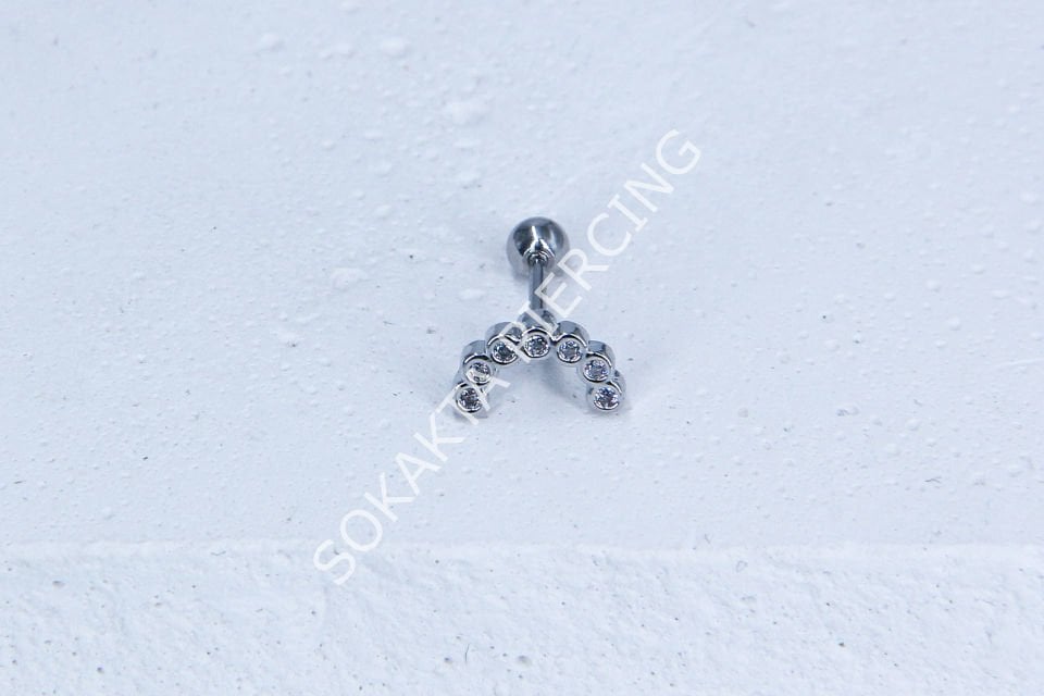A97- TRAGUS