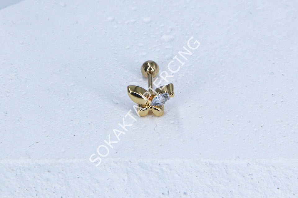 S99- TRAGUS